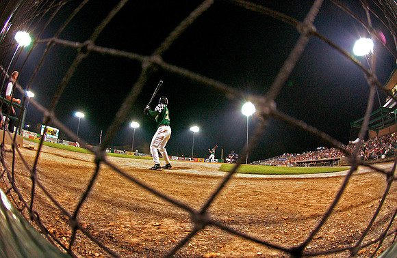 Hillcats_4-3552a.jpg