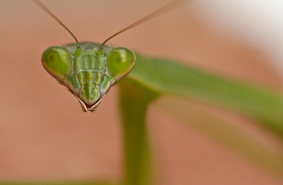 DSC_7889.jpg