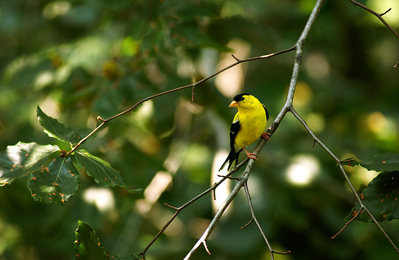 DSC_4093.jpg